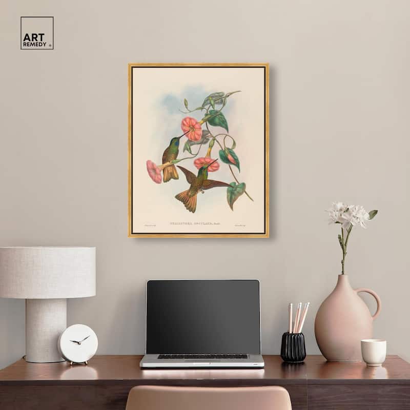 Gould's Hummingbirds Canvas by Art Remedy