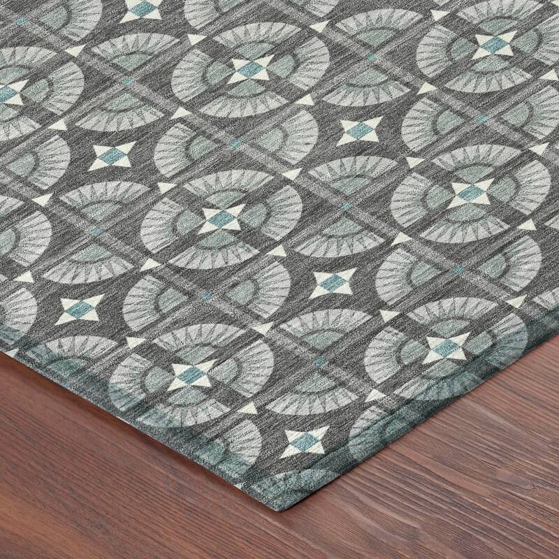 Machine Washable Indoor/ Outdoor Modern Roeland Chantille Rug