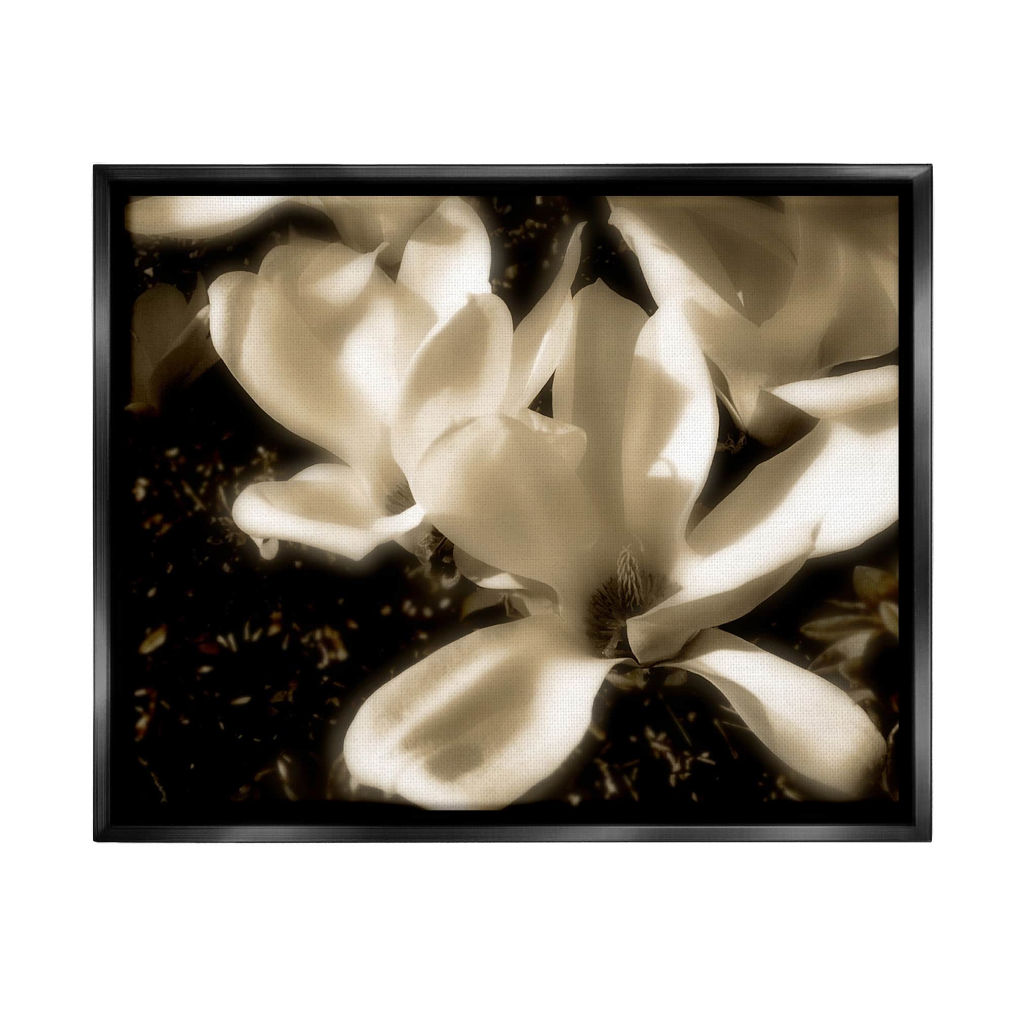 Stupell Plant Petals in Nature Framed Floater Canvas Wall Art Design By Noah Bay