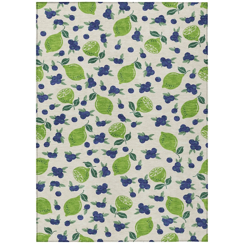 Machine Washable Indoor/ Outdoor Citrus Berry Chantille Rug