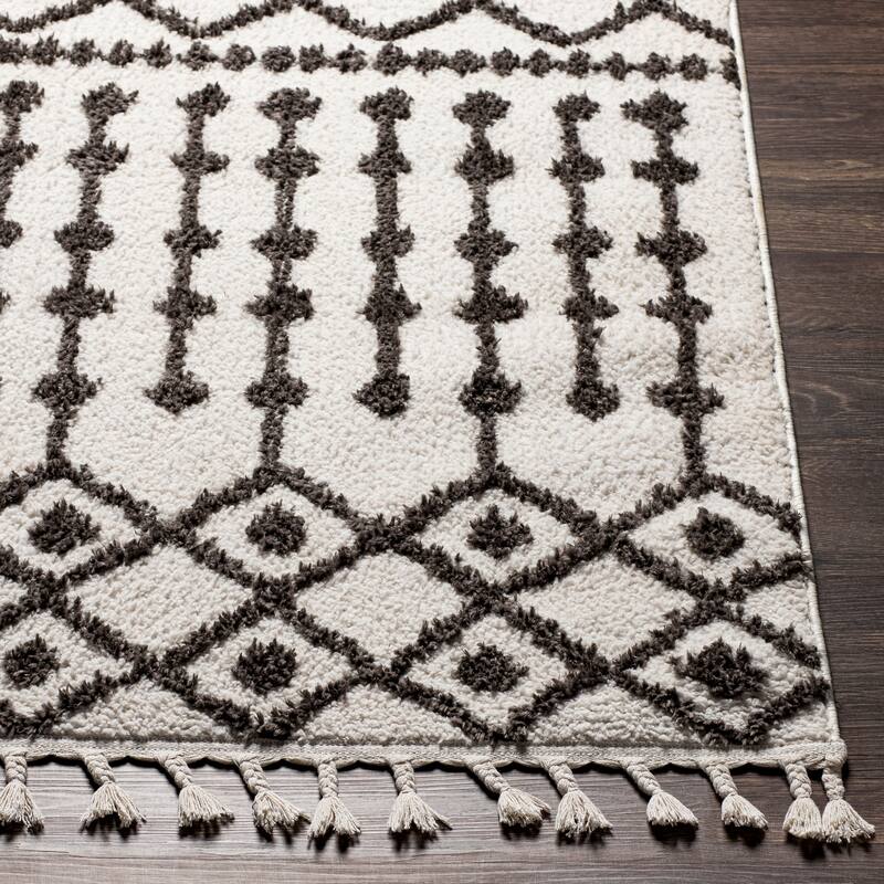 Artistic Weavers Havva Geometric Bohemian Area Rug