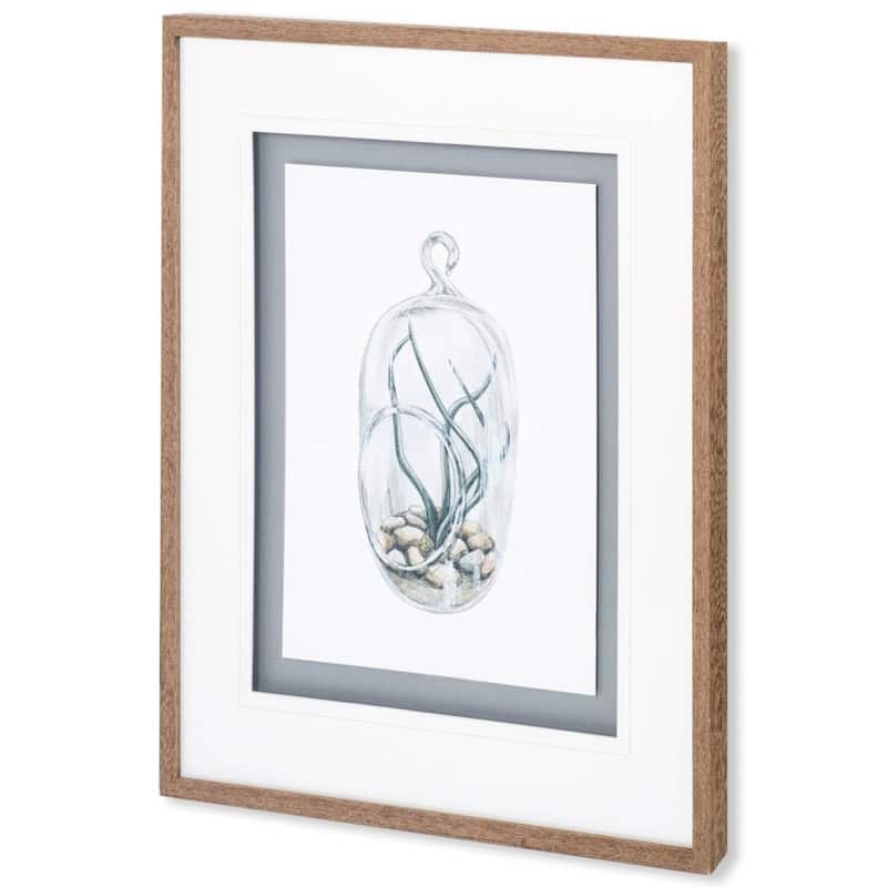 Air Plant 1 Framed Art Print