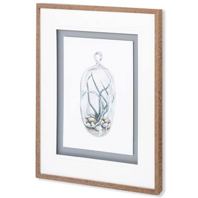 Air Plant 1 Framed Art Print