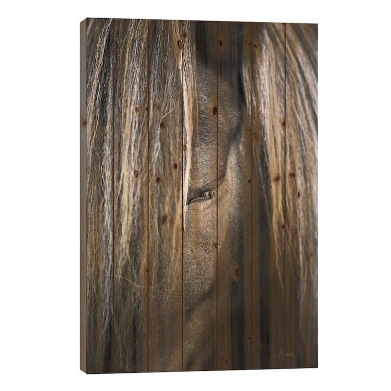 Shy Print On Wood by Aledanda - Multi-Color - 40x26x1.5