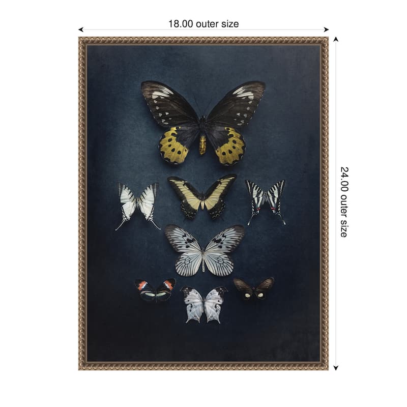 Kate and Laurel Butterfly Study Dark by Emiko and Mark Franzen F2 Images Framed Canvas Wall Art Print