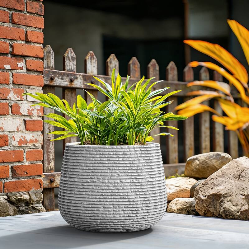Upgraded Interior Concrete Round Planter with Draiange Holes