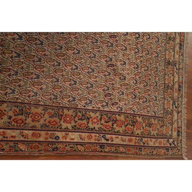 Pre-1900 Antique Afshar Persian Area Rug Vegetable Dye Wool Carpet - 4'0"x 6'1"