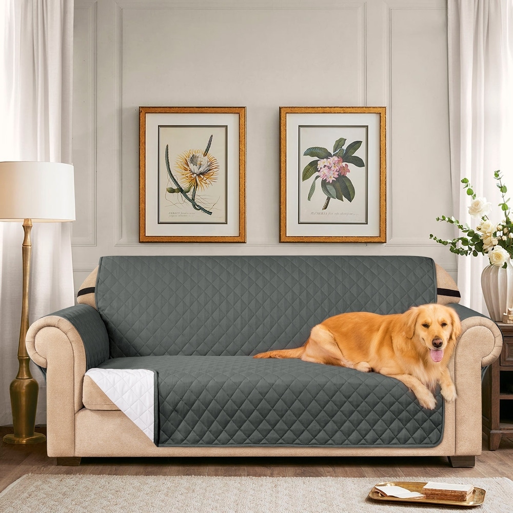 Top 4 Best Couch Cover for Dogs/Cats/Faux Leather/Leather Couch