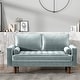 preview thumbnail 13 of 18, Luis Mid-century Modern Tufted Velvet Loveseat Light Greyish Cyan