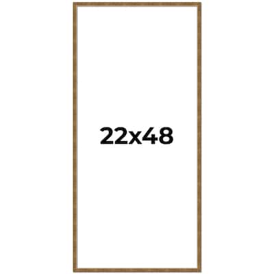 22x48 Frame Gold Picture Frame - Complete Modern Photo Frame Includes