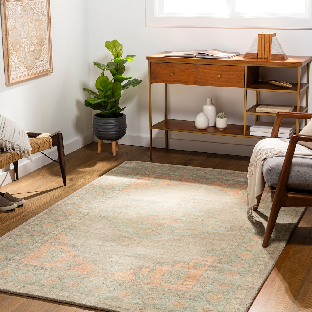 Artistic Weavers Olivianne Handmade Traditional Area Rug