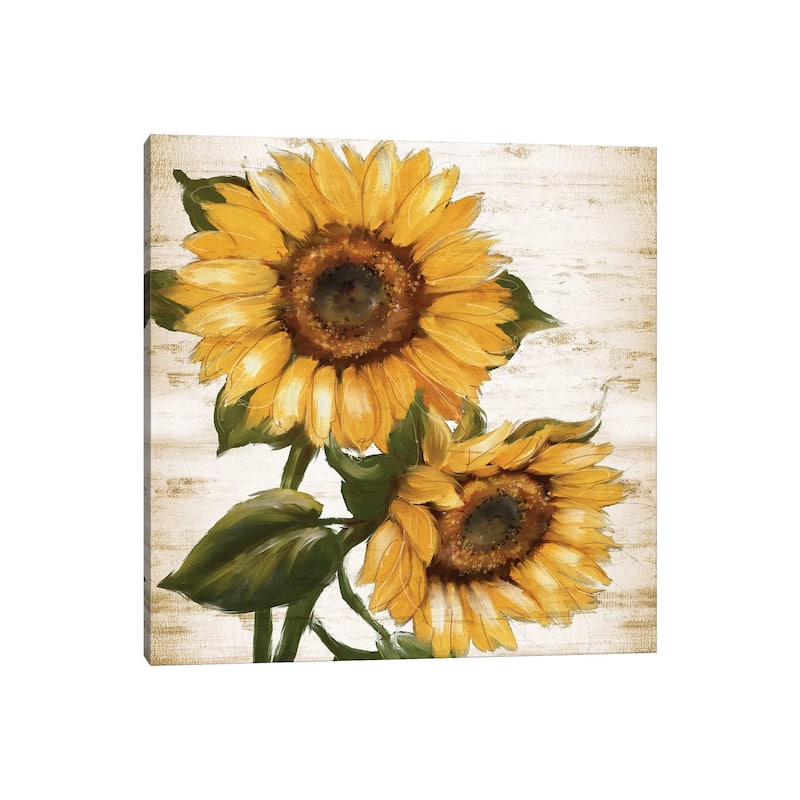 iCanvas "Sunflower Summer II" by Conrad Knutsen Canvas Print