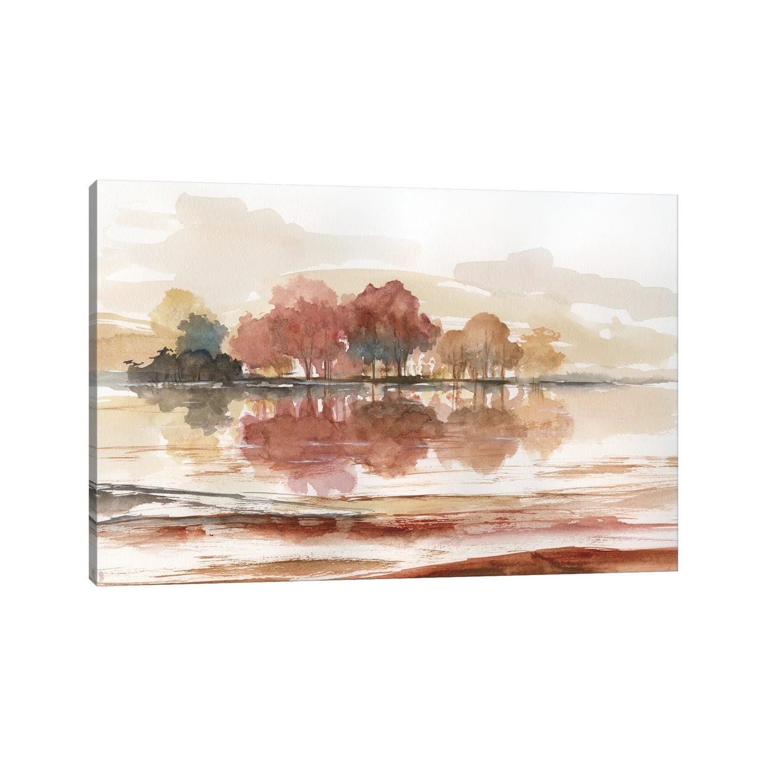 iCanvas "Earthy Dreams" by Nan Canvas Print