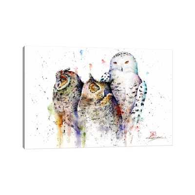 iCanvas "Owls Don't Sleep" by Dean Crouser Canvas Print