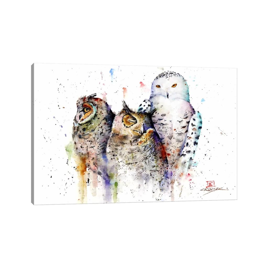iCanvas "Owls Don't Sleep" by Dean Crouser Canvas Print