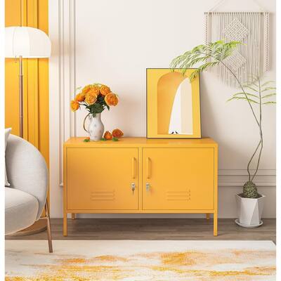 2 Doors Metal Storage Cabinet Cabinet Multifunction Storage Cabinet - N/A