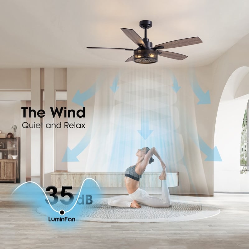 52 Inch Farmhouse Ceiling Fan with Light and Remote Black Industrial Caged Ceiling Fans Flush Mount 6-Speed Design for Bedroom