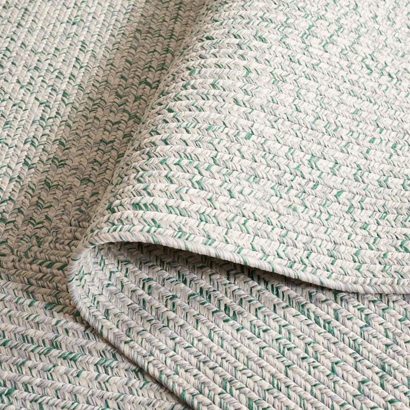 SAFAVIEH Handmade Braided Anthi Casual Rug