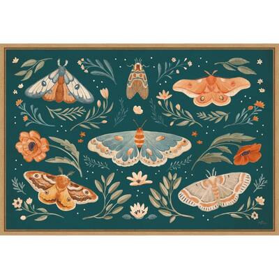 Winged Study I (Butterfly) by Janelle Penner Framed Canvas Art