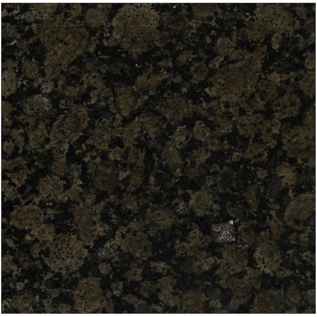 Ackland AKTGT12X12P-PL 12" x 12" Terrazzo Floor and Wall Tile - Matte