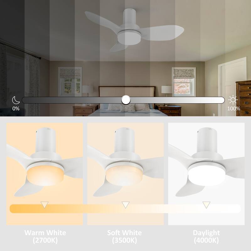 CARRO Chamomile 36" 3-Blade Indoor Smart Ceiling Fan with Light and Remote