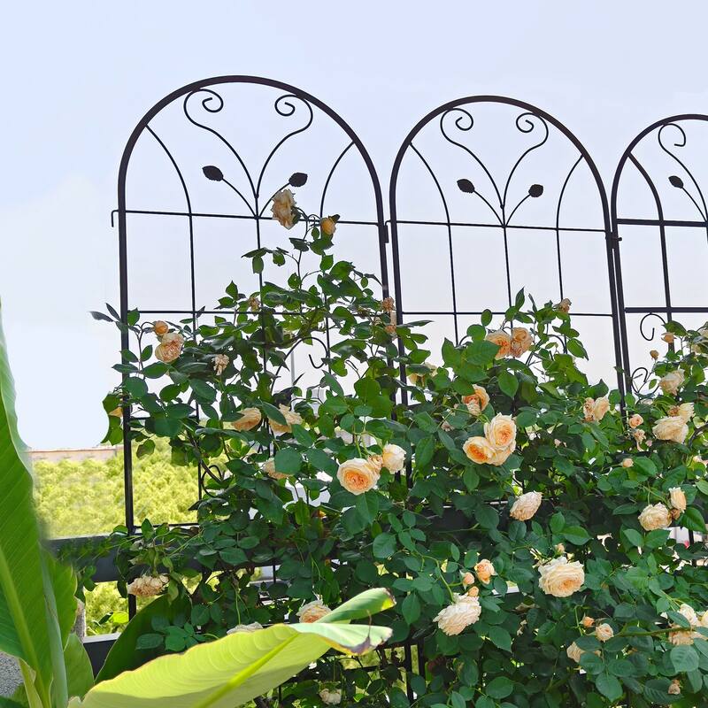 2 Pack Metal Garden Trellis 86.7in x 19.7in Rustproof Trellis