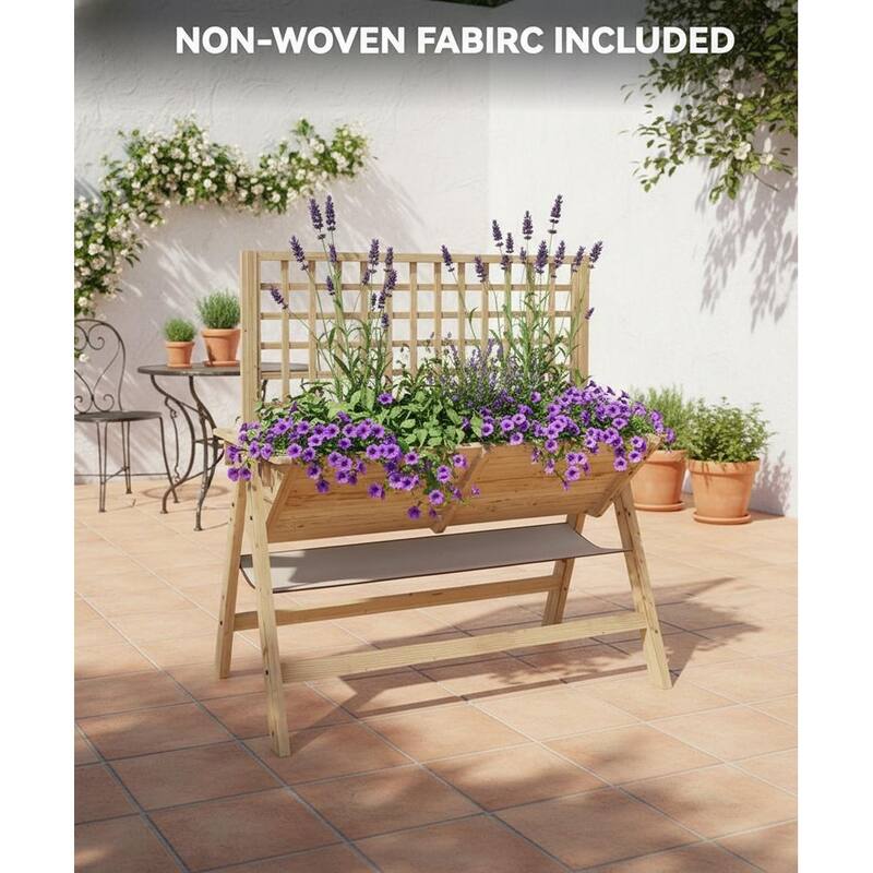 Elevated Garden Bed, with Climbing Trellis