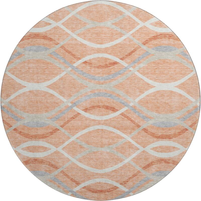 Premium Washable Super Soft Contemporary Dickerson Mayfield Rug