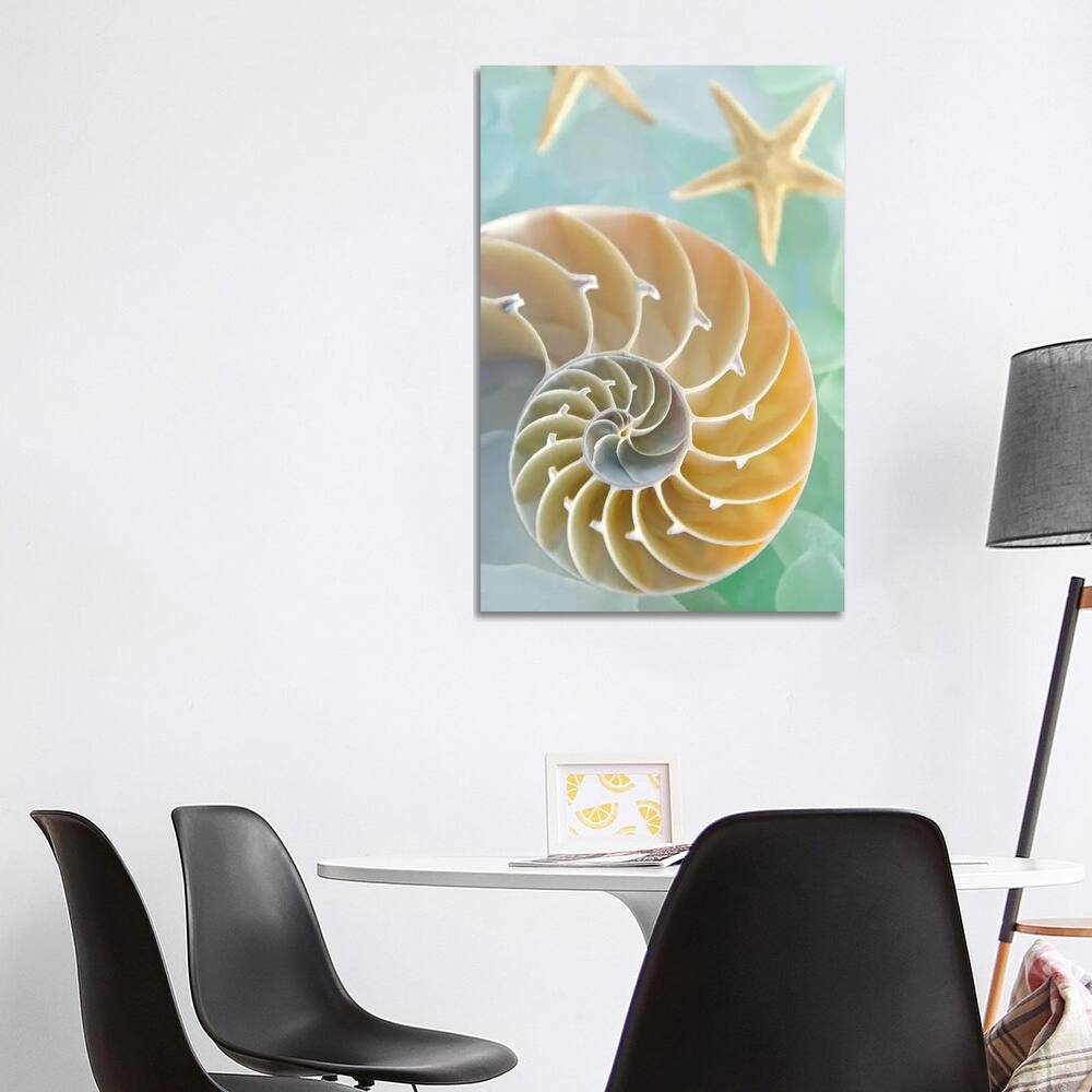 iCanvas "Seaglass 2" by Alan Blaustein Canvas Print