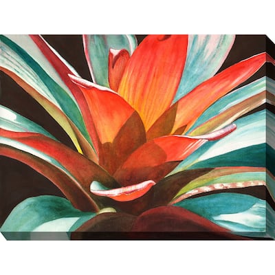 Calypso Outdoor Art 40x30