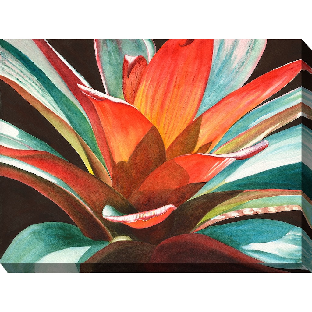Calypso Outdoor Art 40x30