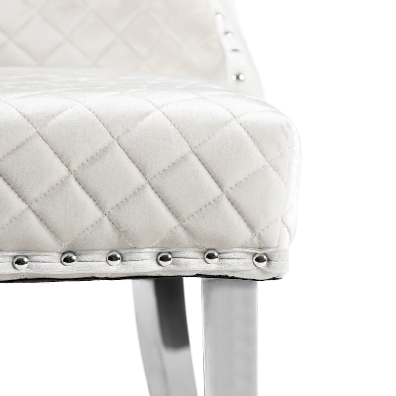 Furniture of America Thaddeus Glam Fabric Dining Chair with Nailhead Trim (Set of 2)