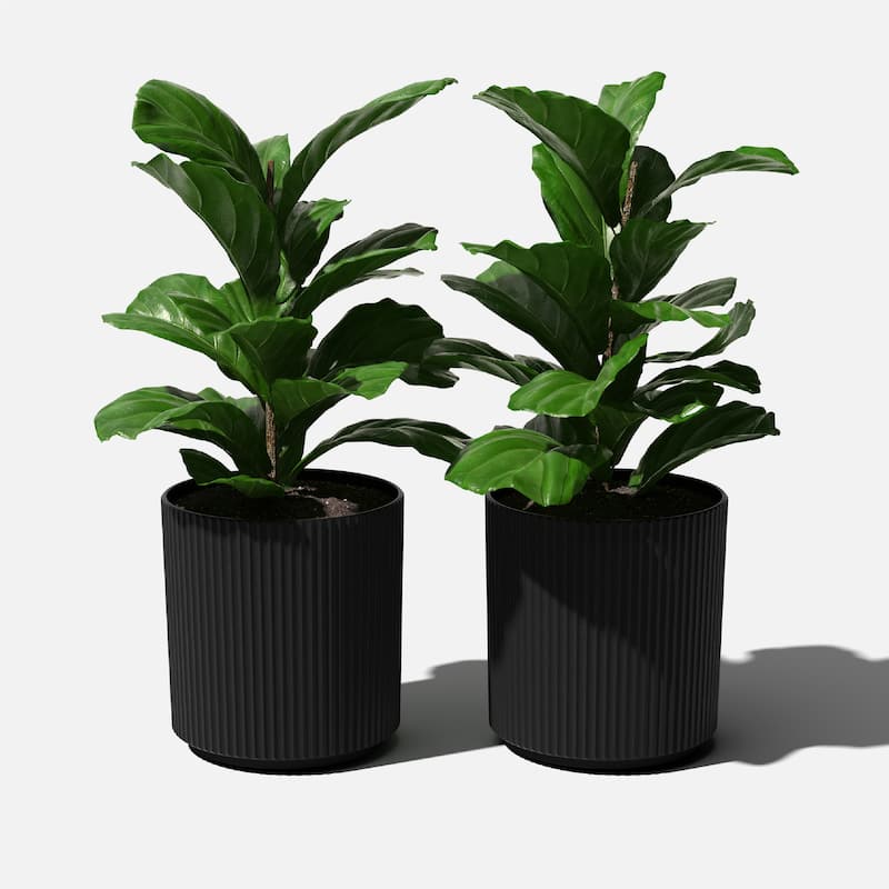 Veradek Demi Series Demi Round Planter