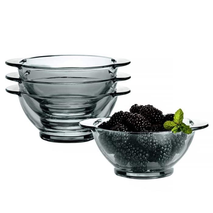 STP Goods 15.2 fl oz Borosilicate Glass Salad & Dessert Bowl Set of 4