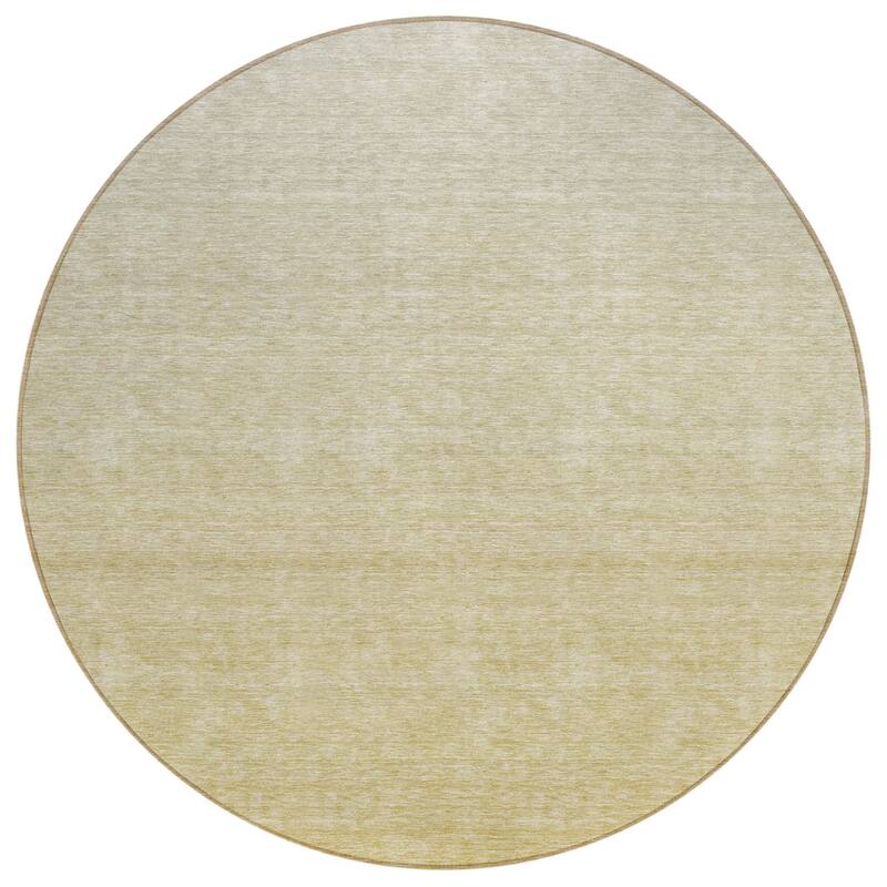 HomeRoots Ombre Transitional Rectangle Outdoor Rug