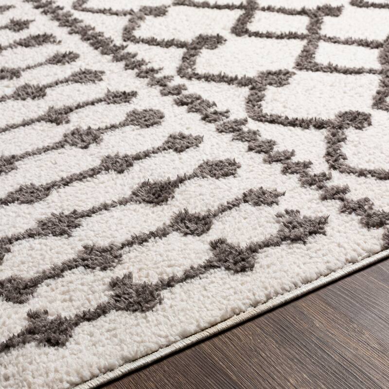 Artistic Weavers Havva Geometric Bohemian Area Rug