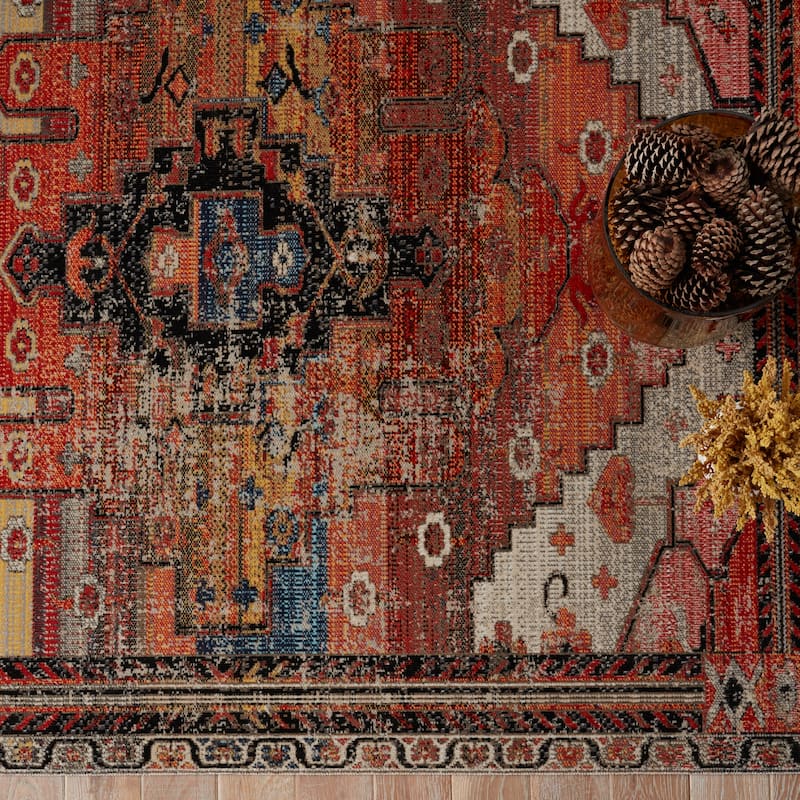Cicero Indoor and Outdoor Medallion Area Rug