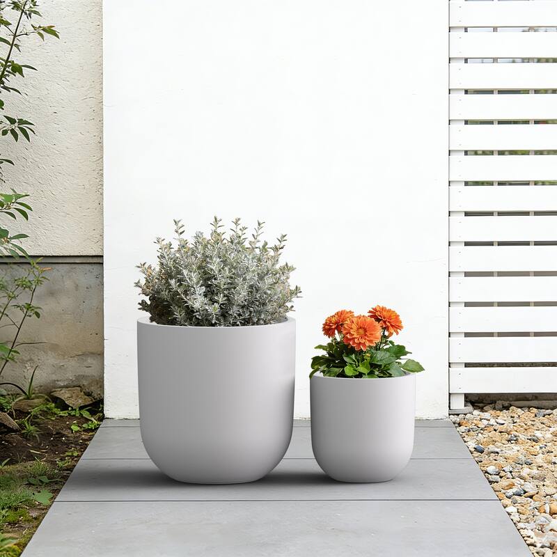 Upgraded Interior Concrete Round Planter with Drainage Holes
