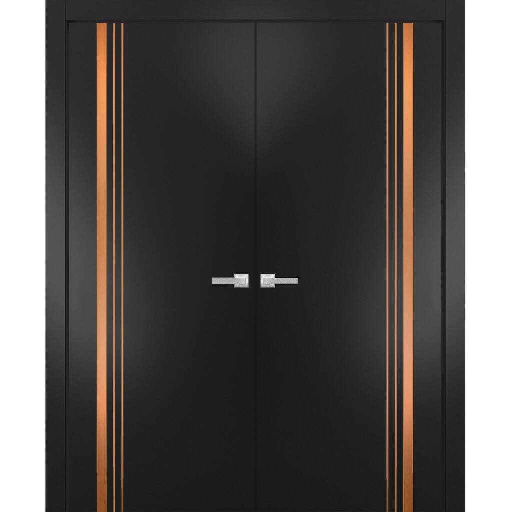 Solid French Double Doors 36 x 80 Planum 1010 Matte Black with