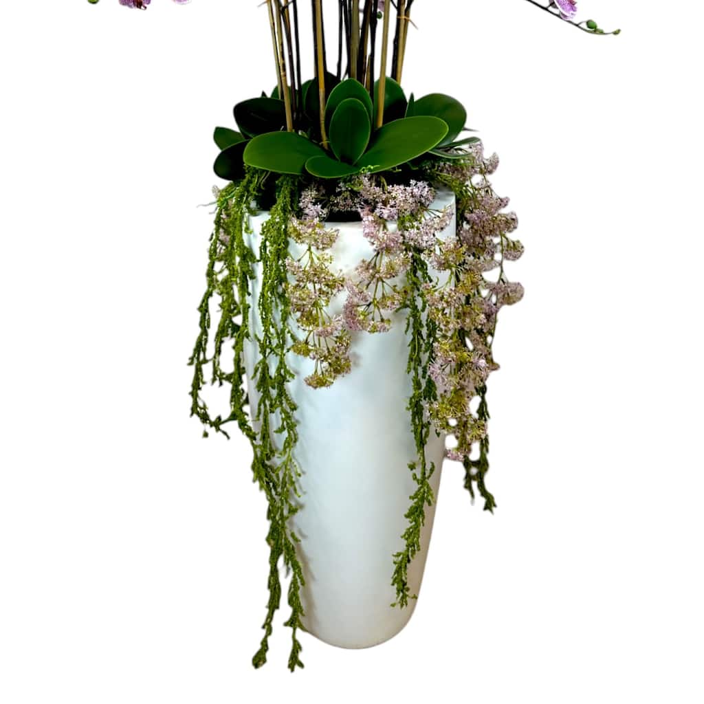 Orchid and Amaranthus Arranged in Fiberstone Planter - Pink