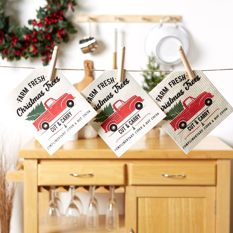 DII Swedish Dishcloth Set/3