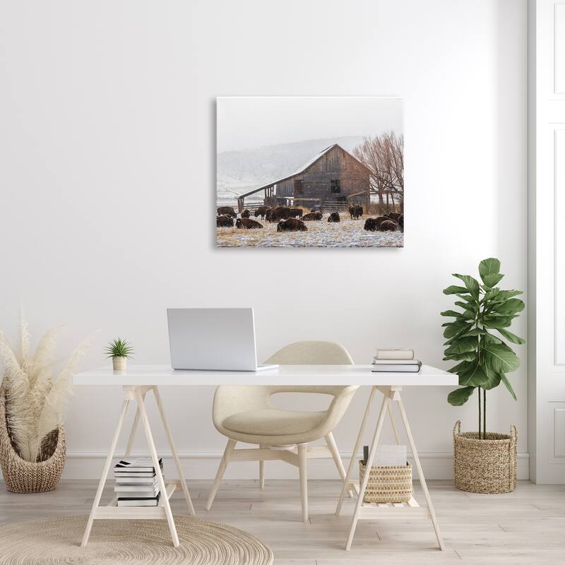 Stupell Snow Dusted Barn Buffalo Bison Rural Farm Canvas Wall Art, Design by Jeff Poe Photography