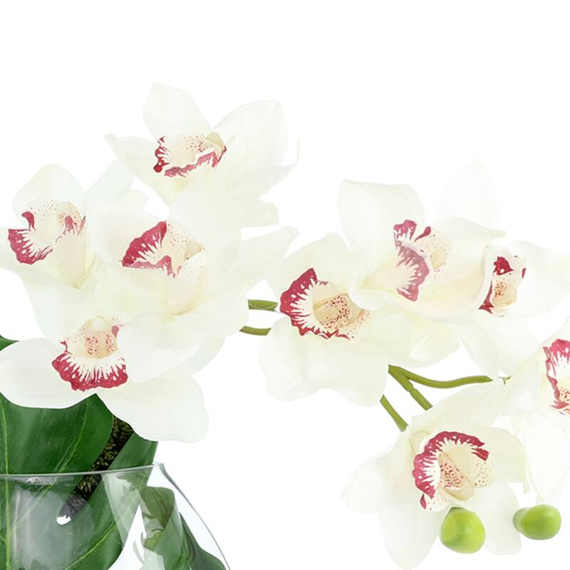 Orchid and Philodendron Arrangement - 18