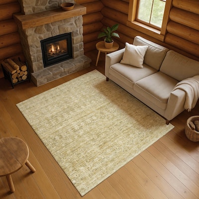 Premium Washable Super Soft Vintage Traditional Mayfield Rug