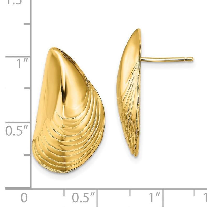 Curata 14k Yellow Gold Polished Mussel Shell Post Earrings 24.4x13.2mm