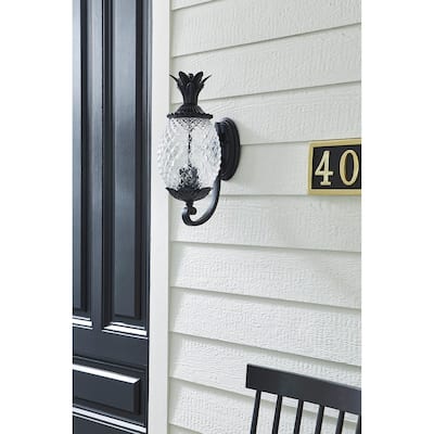 Lanai 2-light Outdoor Matte Black Wall Lantern
