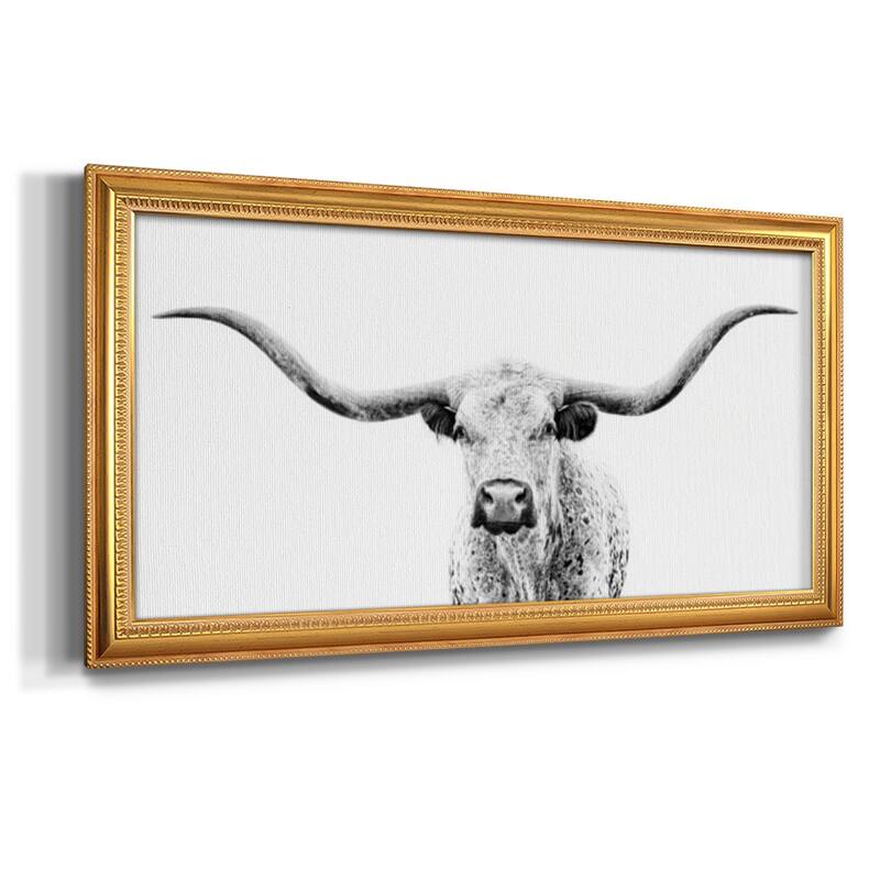 Longhorn Gaze Premium Framed Canvas- Ready to Hang