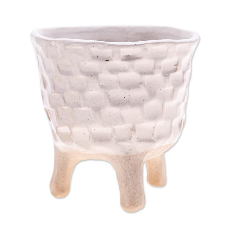 Novica Handmade Luminous Roots Ceramic Flower Pot