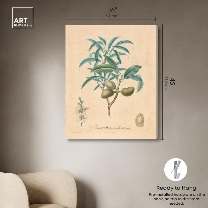 Almond of Georgia II Canvas by Art Remedy, Gallery Wrapped