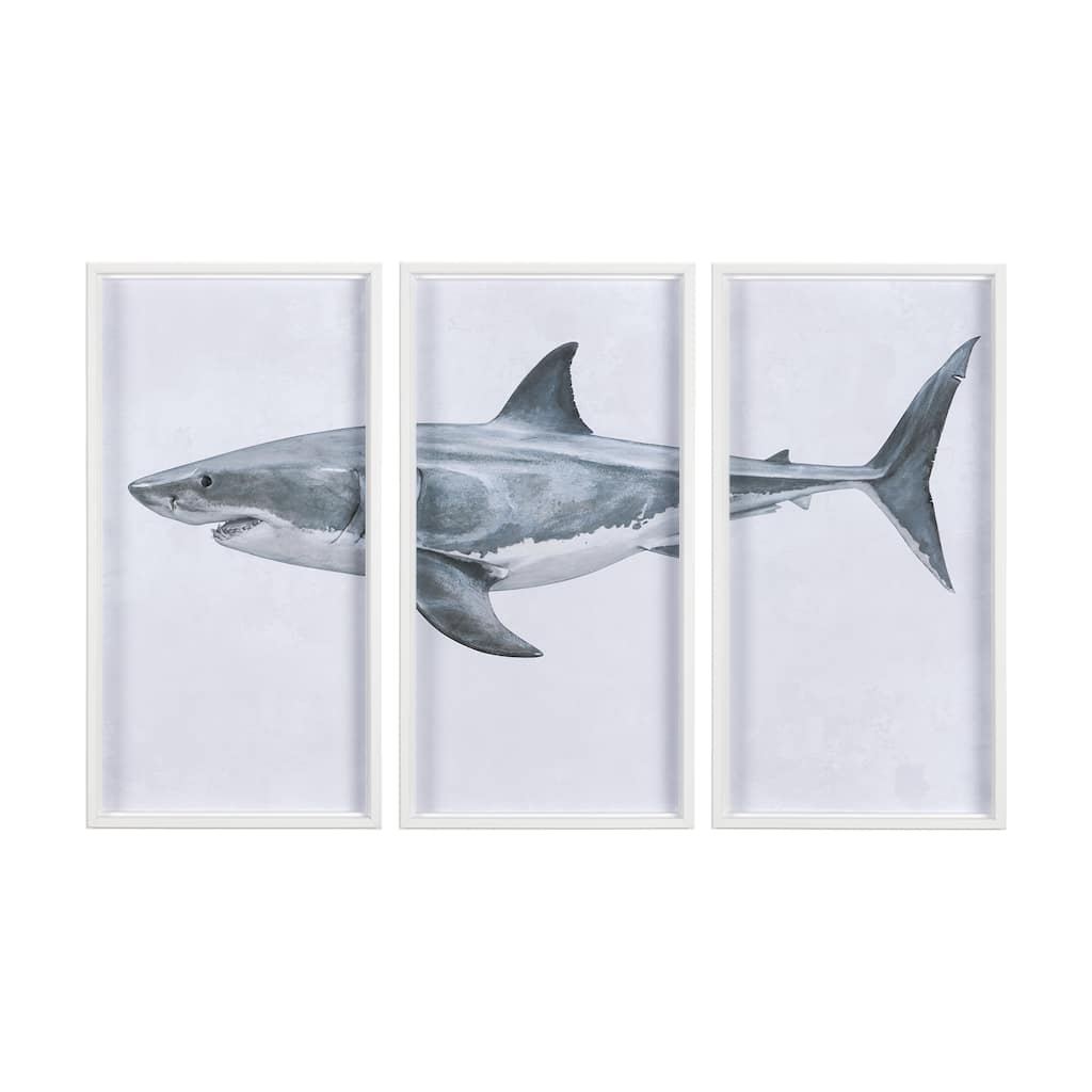 Great White Shark I (Set of 3) Framed Art Print